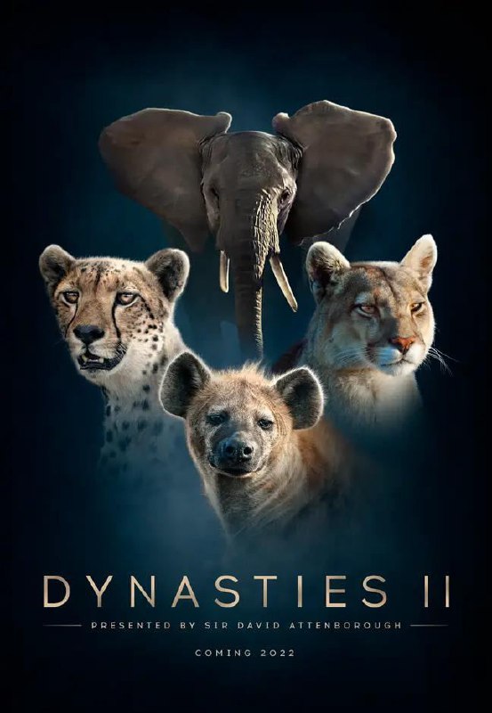 王朝 第二季 Dynasties Season 2 (2022) 11.14 GB